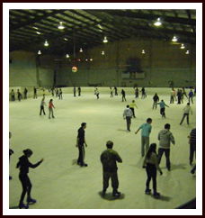 Bendigo Ice Stadium - Accommodation in Bendigo 1