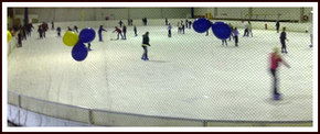 Bendigo Ice Stadium - Accommodation in Bendigo 2