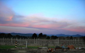 Buller View Wines - Accommodation in Bendigo 1