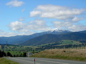 Buller View Wines - Accommodation in Bendigo 2