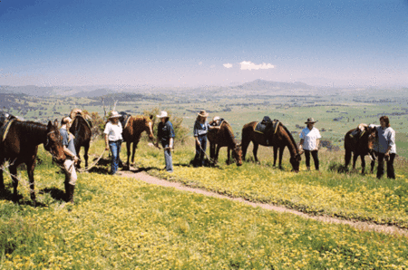 Watsons Trail Rides - Accommodation in Bendigo 1