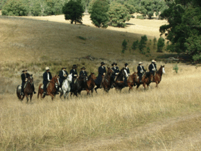 McCormacks Mountain Valley Trail Rides - Accommodation in Bendigo 0