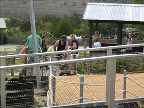  Accommodation in Bendigo