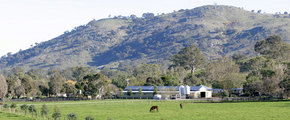 Blue Gum Farm - Accommodation in Bendigo 1