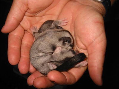  Accommodation in Bendigo