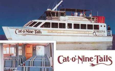 Cat O' NineTails - Accommodation in Bendigo 1