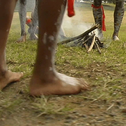 Musgrave Park Cultural Centre - Accommodation in Bendigo 1