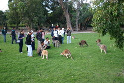 Caversham Wildlife Park - Accommodation in Bendigo 2