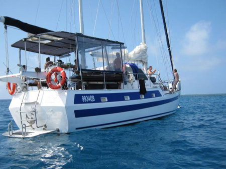 Coral Sea Dreaming Dive And Sail - Accommodation in Bendigo 3