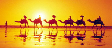 Banksia Adventures - Accommodation in Bendigo 1