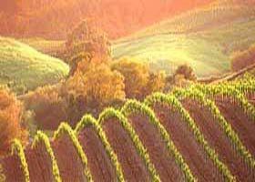 Meridian Tours - Accommodation in Bendigo 2