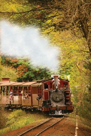 Puffing Billy - Accommodation in Bendigo 5