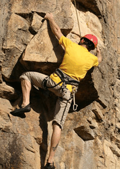 Adventures Around Brisbane - Accommodation in Bendigo 3