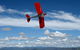 Tigermoth Joy Rides - thumb 1