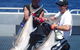 Blue Juice Charters - thumb 0