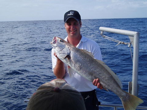 Blue Juice Charters - Accommodation in Bendigo 1