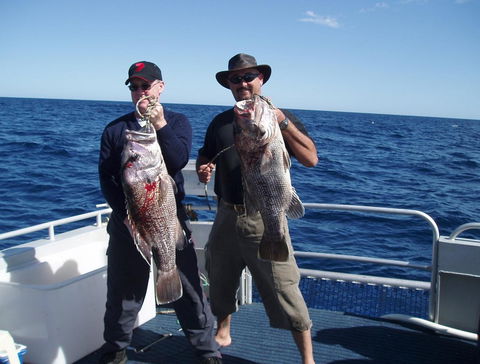 Blue Juice Charters - Accommodation in Bendigo 2