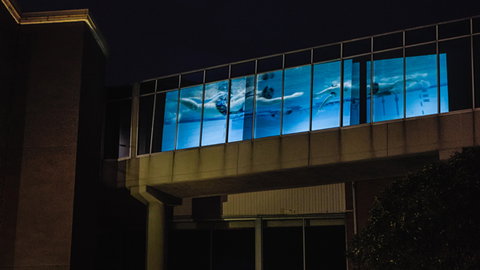 Kingston Arts - Accommodation in Bendigo 8