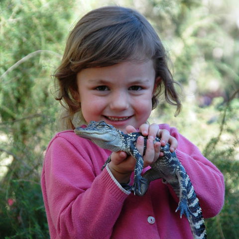 Australian Reptile Park - Accommodation in Bendigo 2