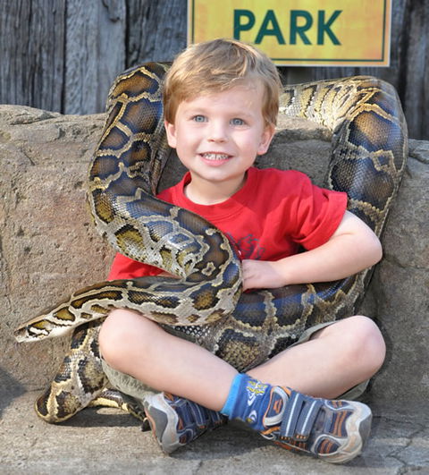 Australian Reptile Park - Accommodation in Bendigo 3