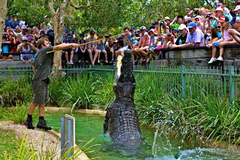 Australian Reptile Park - Accommodation in Bendigo 4