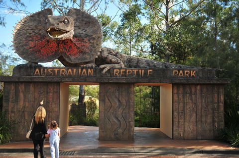 Australian Reptile Park - Accommodation in Bendigo 5