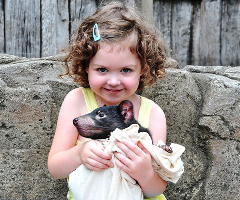 Australian Reptile Park - Accommodation in Bendigo 8