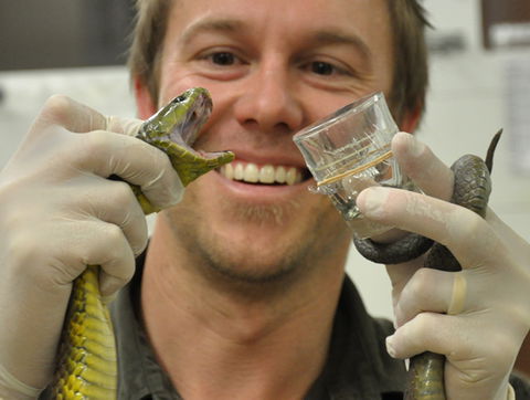 Australian Reptile Park - Accommodation in Bendigo 9