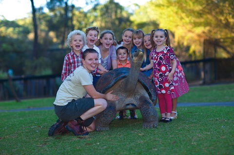 Australian Reptile Park - Accommodation in Bendigo 11