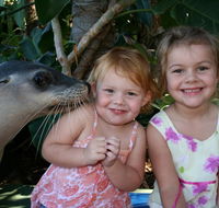 Dolphin Marine Magic - Accommodation in Bendigo