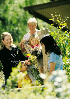 Cleland Wildlife Park - Accommodation in Bendigo 5