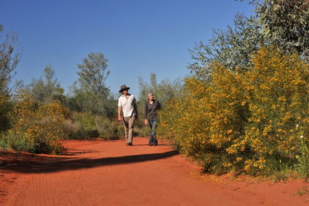 Alice Springs Desert Park - Accommodation in Bendigo 3