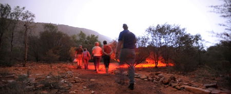 Alice Springs Desert Park - Accommodation in Bendigo 4