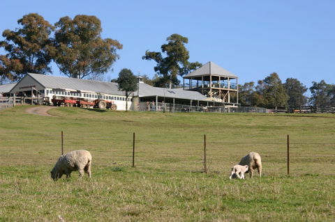 Calmsley Hill City Farm - Accommodation in Bendigo 3