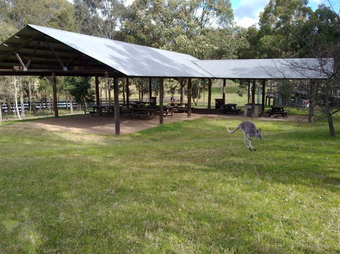 Calmsley Hill City Farm - Accommodation in Bendigo 5