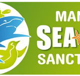Manly SEA LIFE Sanctuary - Accommodation in Bendigo