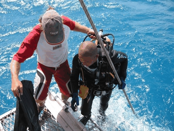 Big Cat Reality - Accommodation in Bendigo 2