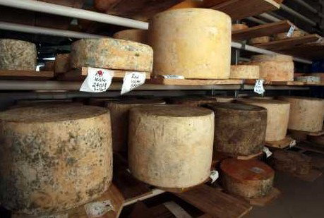 Witches Chase Cheese Co - Accommodation in Bendigo 3