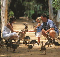 Billabong Sanctuary - Accommodation in Bendigo
