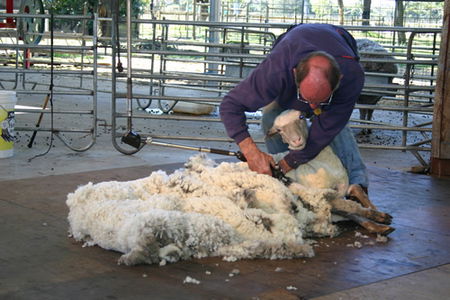 Caversham Wildlife Park - Accommodation in Bendigo 3