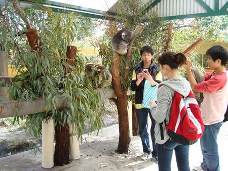 Caversham Wildlife Park - Accommodation in Bendigo 4