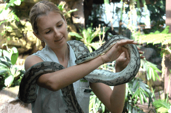 Cairns Wildlife Dome - Accommodation in Bendigo 2