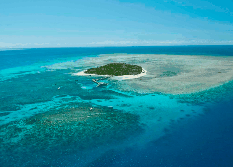 Big Cat Green Island Reef Cruises - Accommodation in Bendigo 1