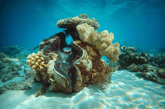 Big Cat Green Island Reef Cruises - Accommodation in Bendigo 3