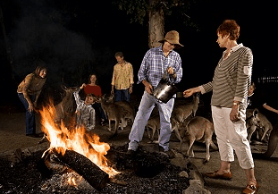 Cairns Night Zoo - Accommodation in Bendigo 0