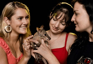 Cairns Night Zoo - Accommodation in Bendigo 1