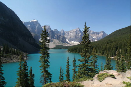 APT - Accommodation in Bendigo 5