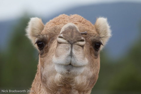 Chesterfield Farm - Accommodation in Bendigo 5