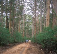 Boranup Drive - Accommodation in Bendigo