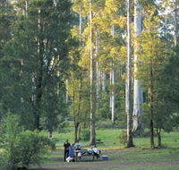 Big Brook Arboretum - Accommodation in Bendigo